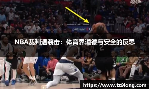 NBA裁判遭袭击：体育界道德与安全的反思