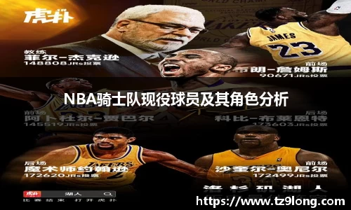 NBA骑士队现役球员及其角色分析
